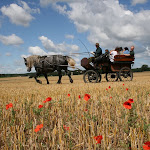 photoIMG_3372.jpg