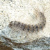 P1150306