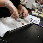 DSCN5169.JPG