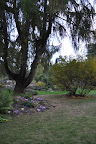 Jardin Botaniques