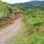 On the horse trail