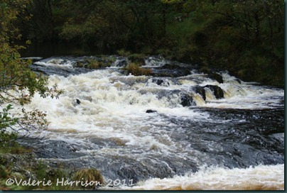 6-Bargaly-glen-waterfall