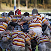 Into the scrum.jpg
