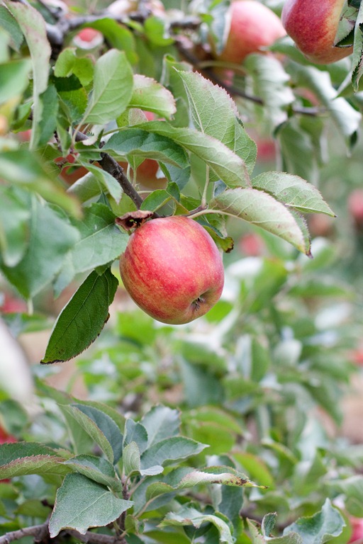 [20121011-IMG_06523.jpg]