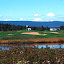 golf2.jpg golf2.jpg