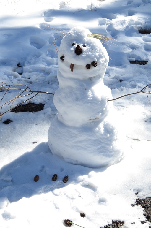 [October%252025%2520Truckee%2520019%255B7%255D.jpg]