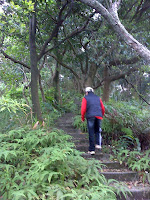 tn_往福興山.JPG Photo