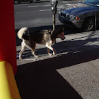 DSC04686.JPG