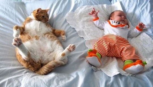 [viral-picdump-pics-5fe381%255B2%255D.jpg]
