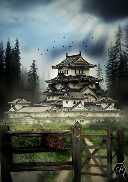 japan no entry