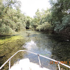 DSCN3045.JPG