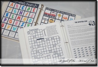 Travel-Activity-Binders-A-Sprinkle-o[1]