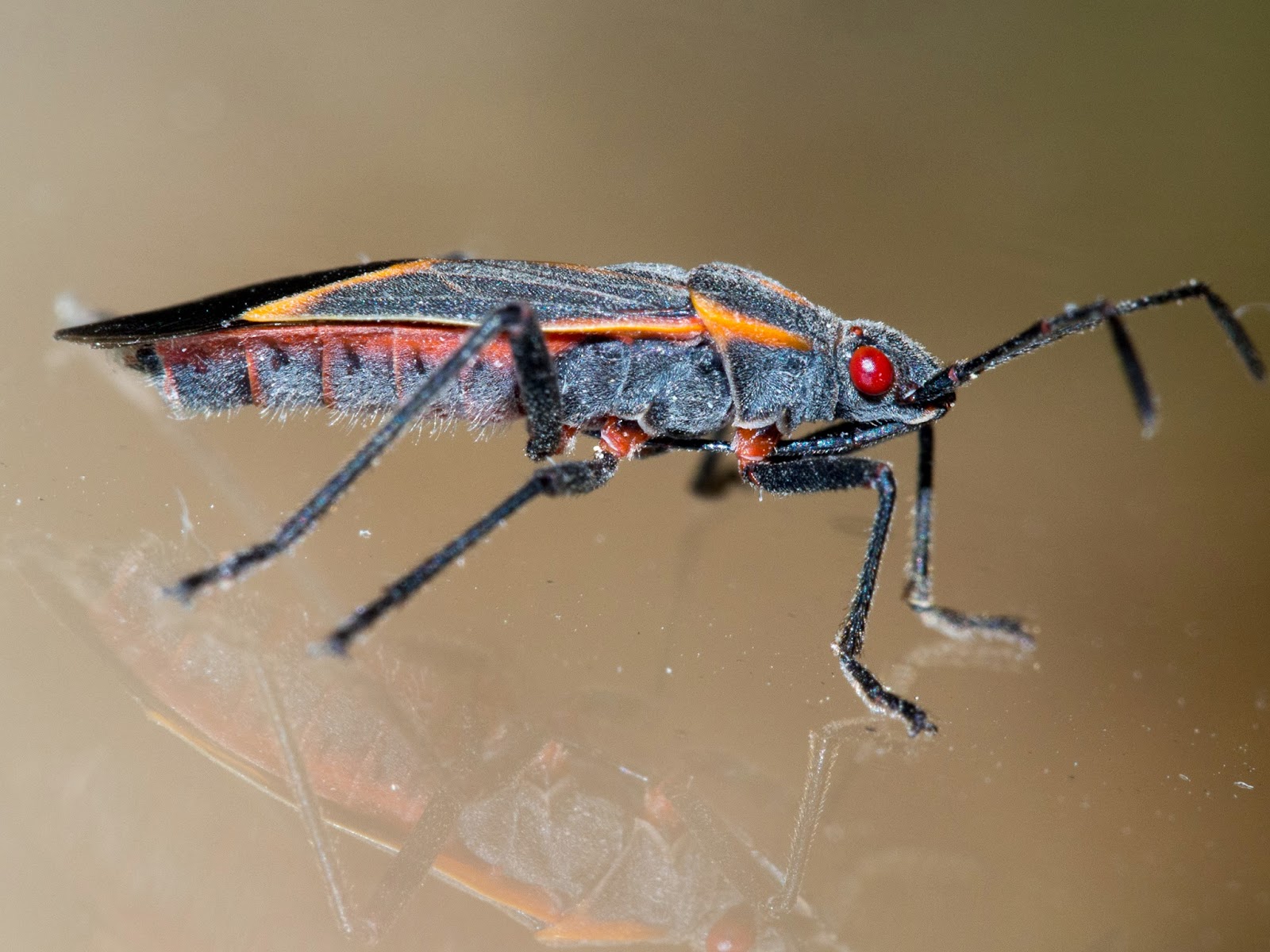 [20141025-00393.jpg]