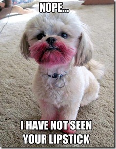 havent seen lipstick