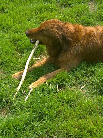 [IMG-20110719-00349%255B3%255D.jpg]