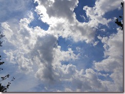 DSCN3379 DSCN3379