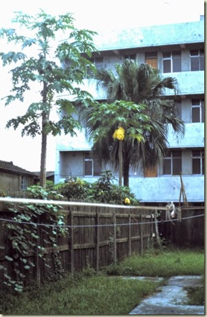 washing-line