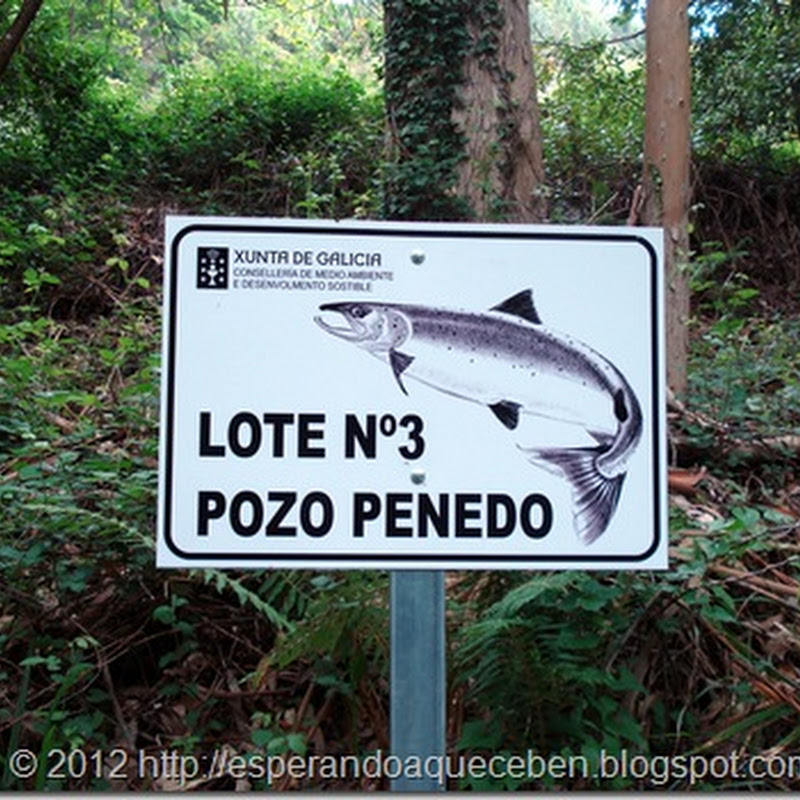 Sorteo de cotos de pesca en Galicia temporada 2013
