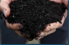 compost compost