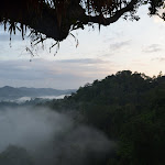 DSC_0500.JPG