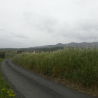 20130427_102935.jpg