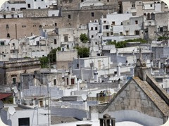 ostuni43 ostuni43