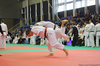 IMG_2521.jpg