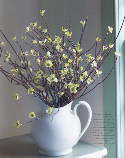 Greenish-white dogwood blossoms seem to flutter above an oversize white pitcher. (The Best of Martha Stewart Living -- Arranging Flowers)