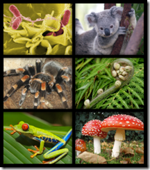 living organisms living organisms