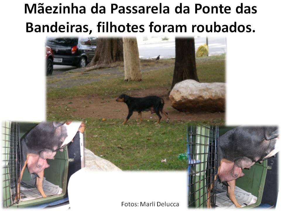 [Slide3%255B2%255D.jpg]