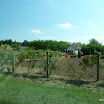 P1000790.JPG