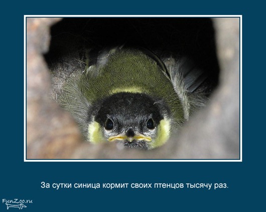 [clip_image020%255B3%255D.jpg]