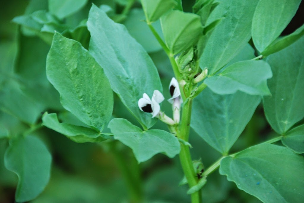 [DSC_0997%255B4%255D.jpg]