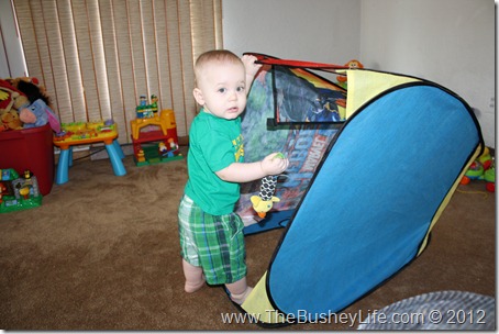 IMG_1129 IMG_1129