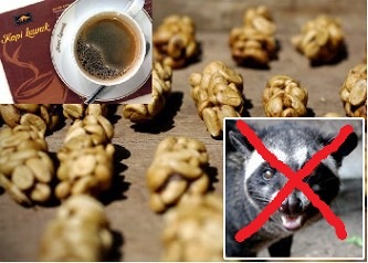 [Kopi%2520Luwak%2520-%2520Civet%2520Coffe%2520-%2520tanpa%2520Luwak%255B3%255D.jpg]