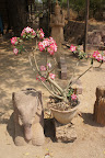 DSC01335.JPG
