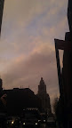 IMAG9825.jpg