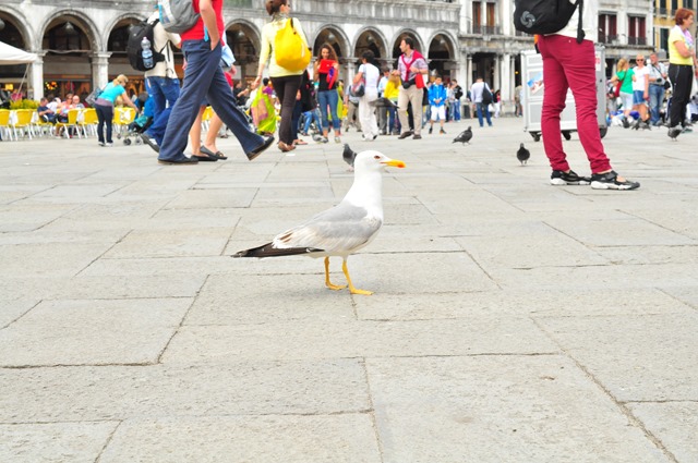 [DSC_0005%255B3%255D.jpg]