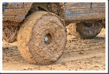 Extreme Mud on tire