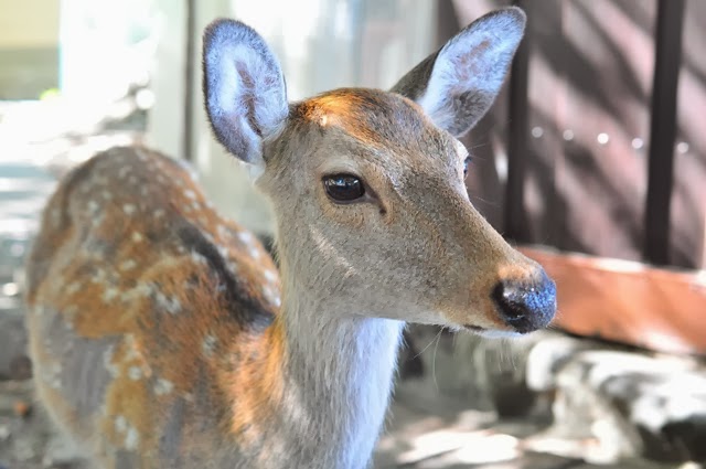 [DSC_0319%255B3%255D.jpg]