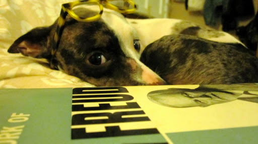 I even caught her reading some Freud. I even caught her reading some Freud.
