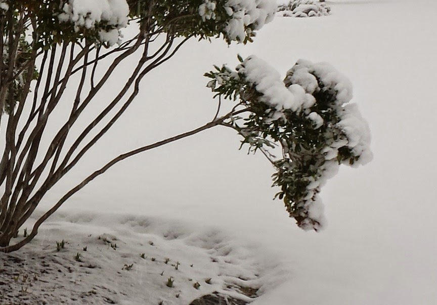 [20141117_080557a%255B3%255D.jpg]