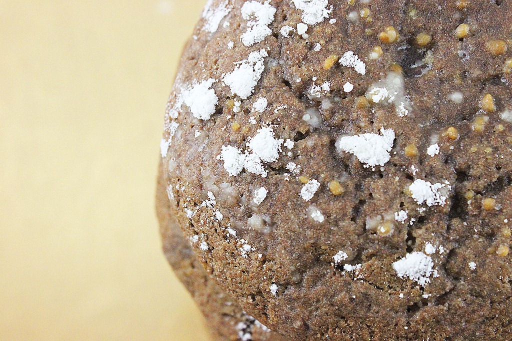 [Chocolate%2520Cookies%25202%255B5%255D.jpg]
