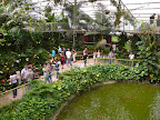 p1300702460(1).jpg