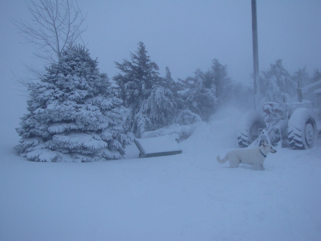 [christmas%2520blizzard%2520133%255B3%255D.jpg]