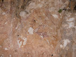 cave paintings