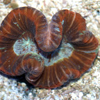 DSC_2166.jpg