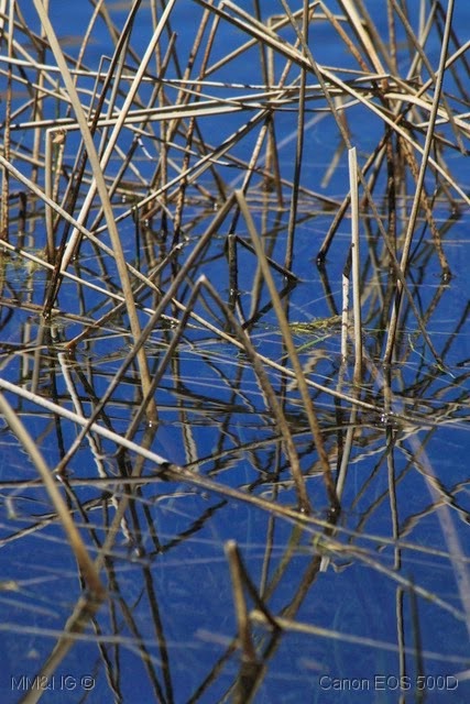 [IMG_3750%255B11%255D.jpg]