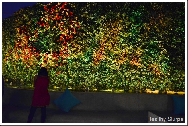 Deepasri capturing the foliage