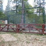 My first site of the bears. Not a good photo I know... too busy trying to see them!